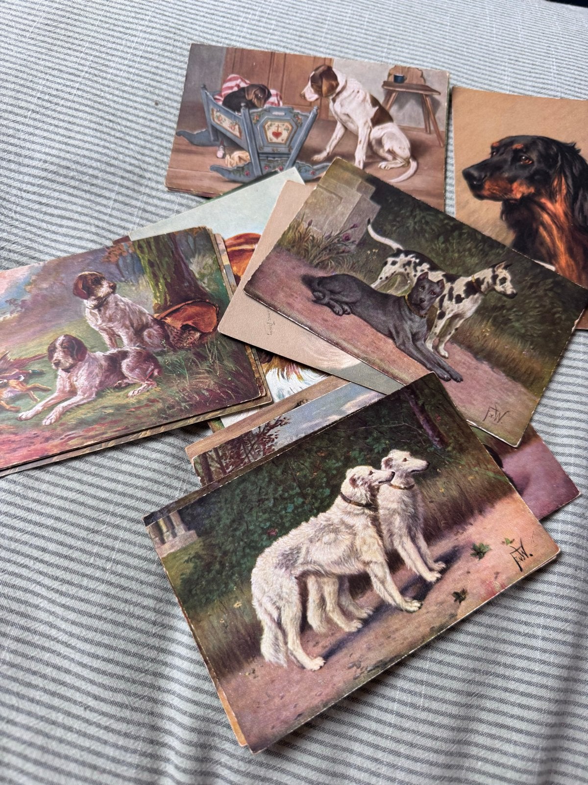 Set antieke vintage postkaarten met honden - deels beschreve, Ophalen of Verzenden, Voor 1920, Gelopen, Hond of Kat