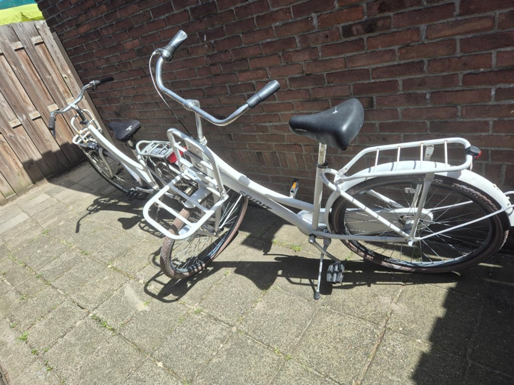 Witte Spirit transportfiets met voordrager, Overige merken, Terugtraprem, Versnellingen, Ophalen of Verzenden