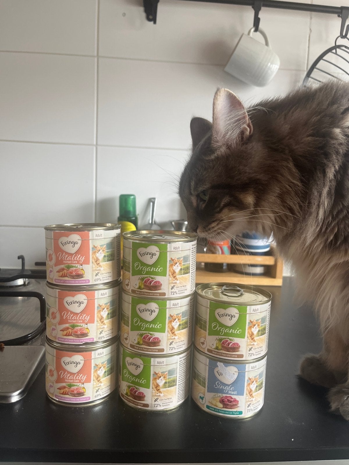 Feringa katten natvoer, Dieren en Toebehoren, Dierenvoeding, Ophalen of Verzenden, Kat