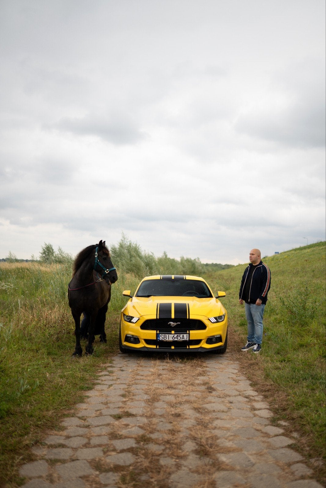Ford Mustang 5.0 V8 Dikke uitvoering, Auto's, Euro 5, Zwart, Handgeschakeld, Vierwielaandrijving