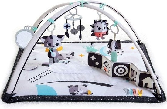Tiny Love Speelkleed met bogen en speeltjes, Ophalen of Verzenden, Zo goed als nieuw, Speelkleed