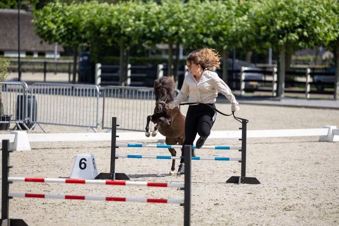 Verzorger gezocht (18+), Ophalen, Overige disciplines