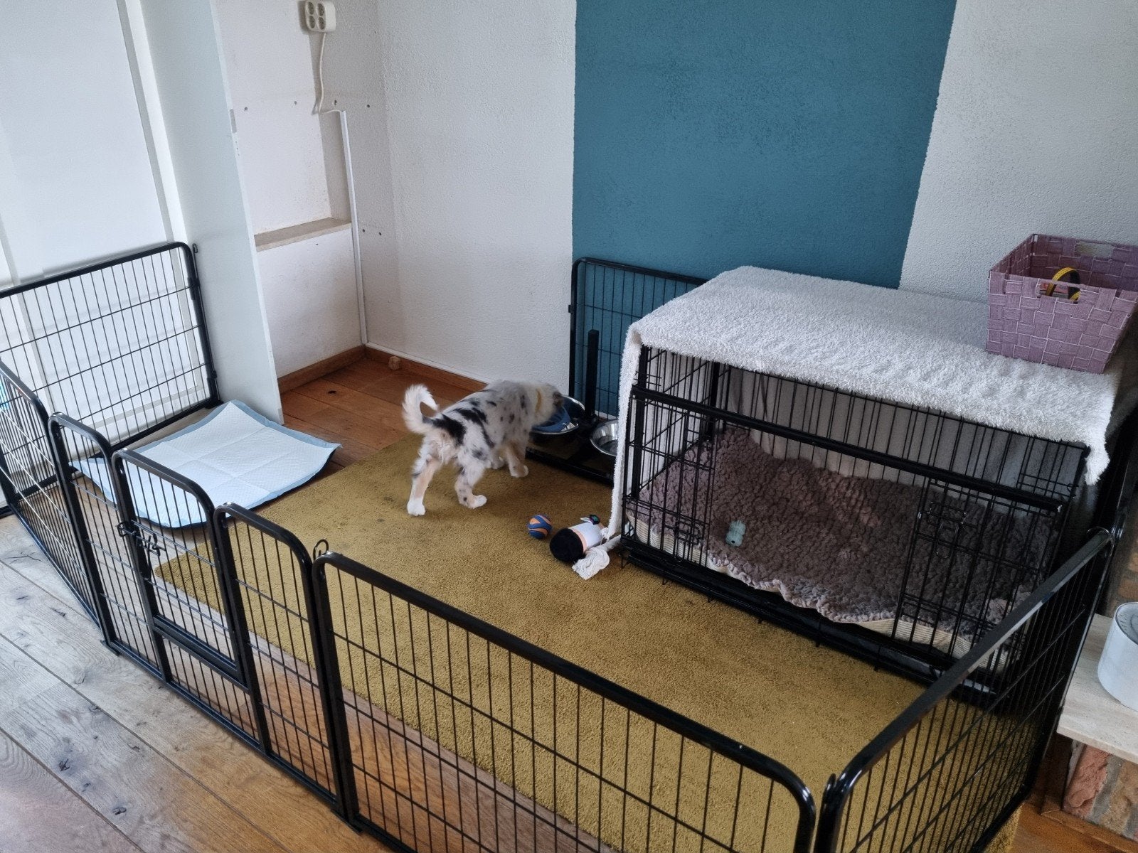 Kraal voor honden, konijnen etc, Ophalen of Verzenden, Zo goed als nieuw, Minder dan 65 cm