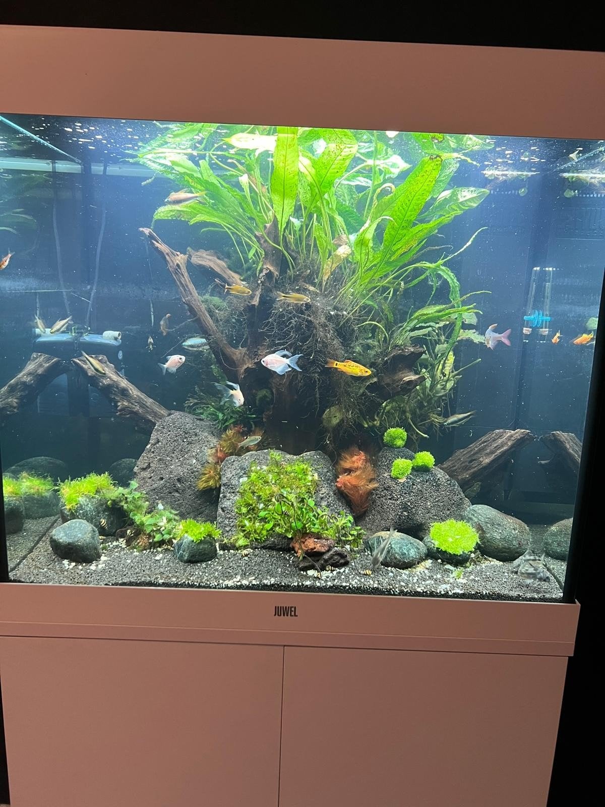 lido 200 aquarium + onderkast originele staat, Dieren en Toebehoren, Ophalen, Leeg aquarium