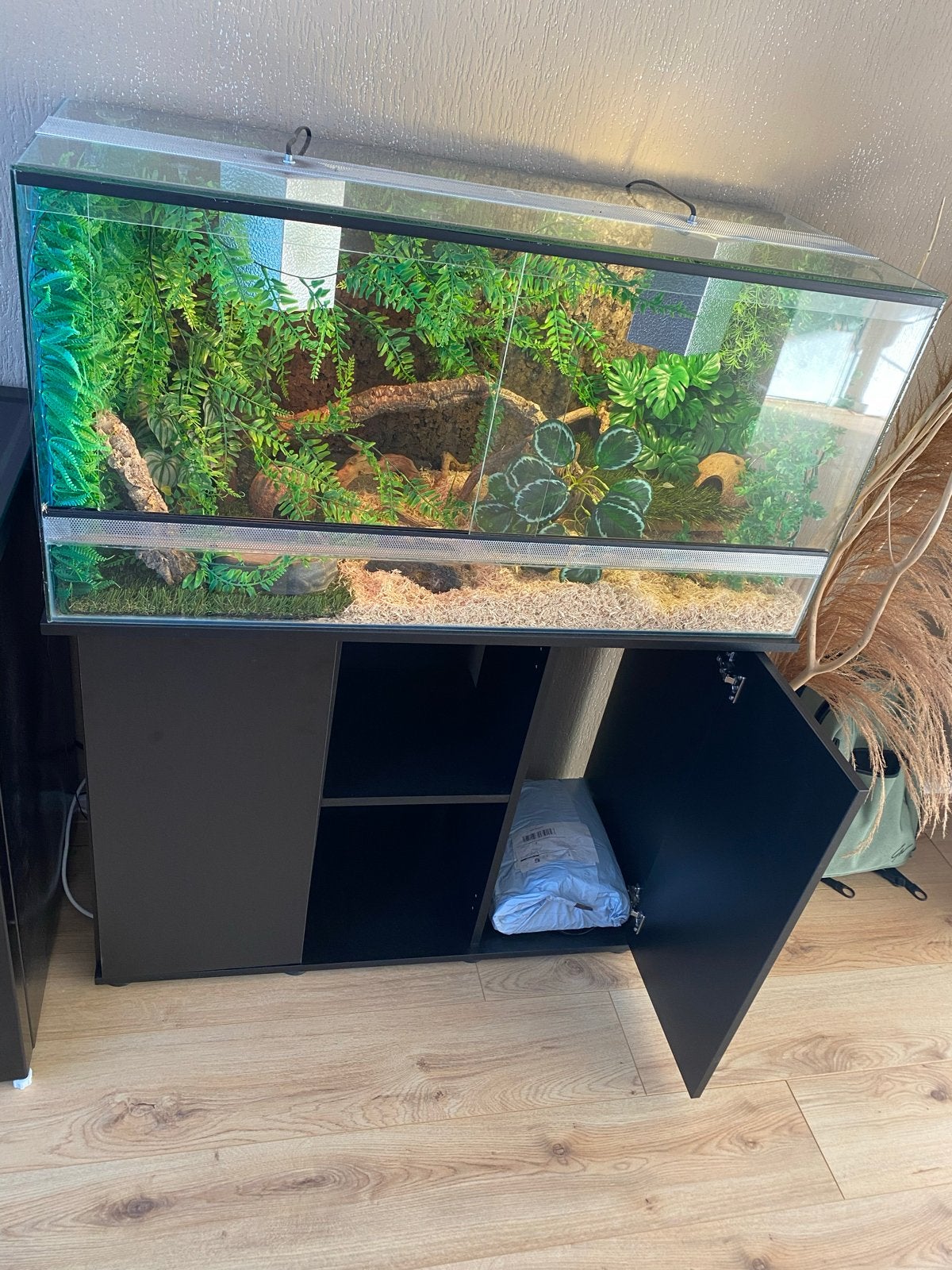 Compleet Terrarium voor slang, Dieren en Toebehoren, Reptielen en Amfibieën | Toebehoren, Ophalen, Zo goed als nieuw, Terrarium of Paludarium