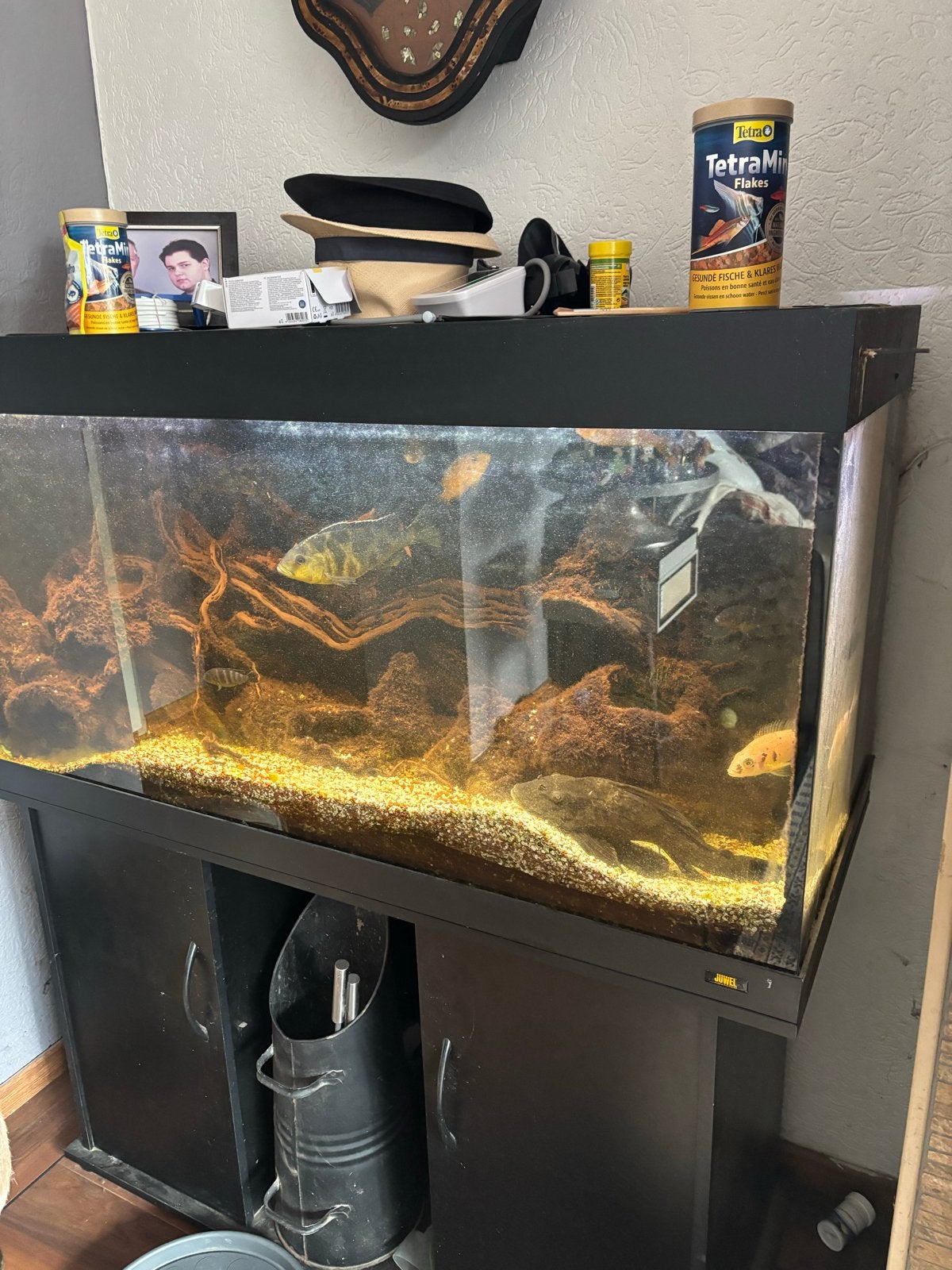 Aquarium juwel, Dieren en Toebehoren, Ophalen of Verzenden, Leeg aquarium