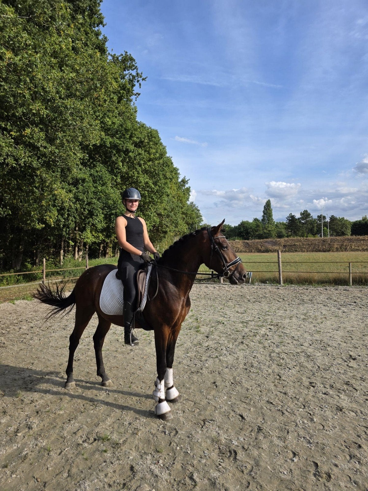 Leuke B en E pony ter lease aangeboden, Diensten en Vakmensen, Dieren | Paarden | Verzorging, Oppas en Les, Verzorging of Verzorgpony's