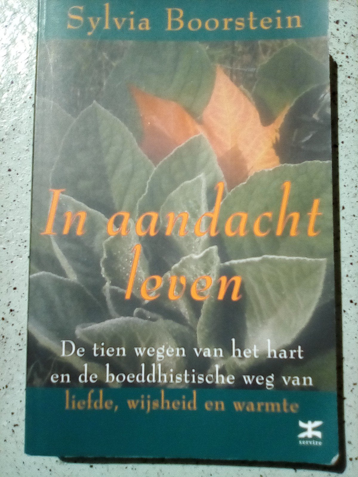 In aandacht leven Sylvia Boorstein, Spiritualiteit algemeen, Overige typen, Ophalen of Verzenden, Zo goed als nieuw