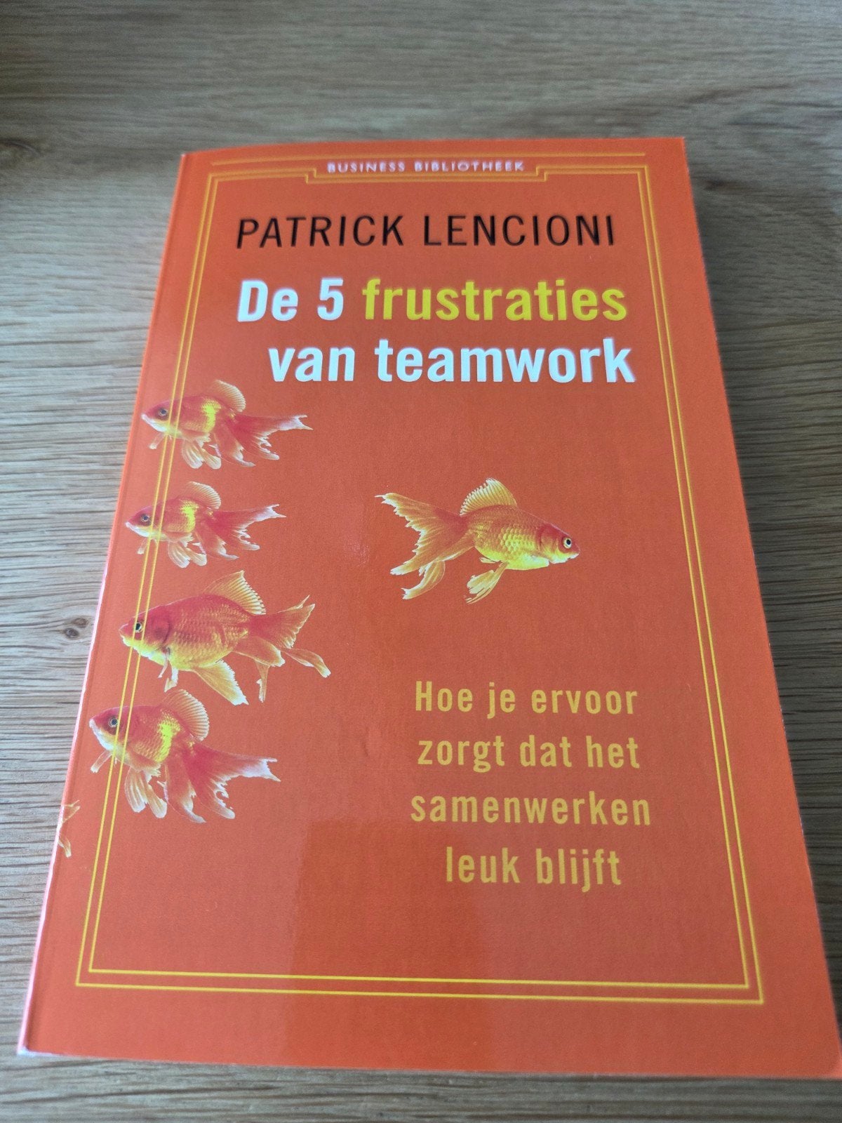 De 5 frustraties van teamwork - Patrick Lencioni, Ophalen of Verzenden, Zo goed als nieuw, Management, Patrick Lencioni