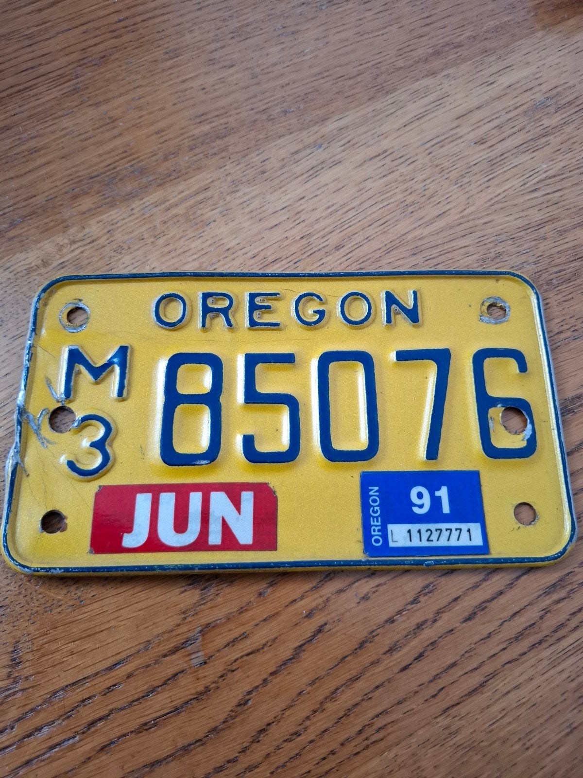 Unieke Harley Davidson kentekenplaat - Oregon USA, Auto diversen, Verzenden, Gebruikt