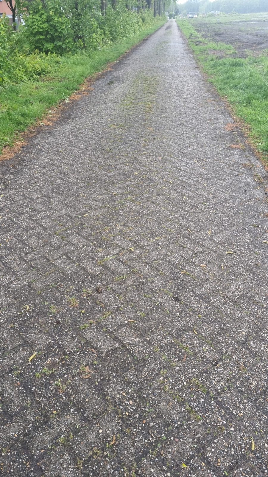 Gebruikte beton klinkers - diverse diktes (6, 7, 8 cm), Ophalen of Verzenden, Gebruikt, Beton, Klinkers