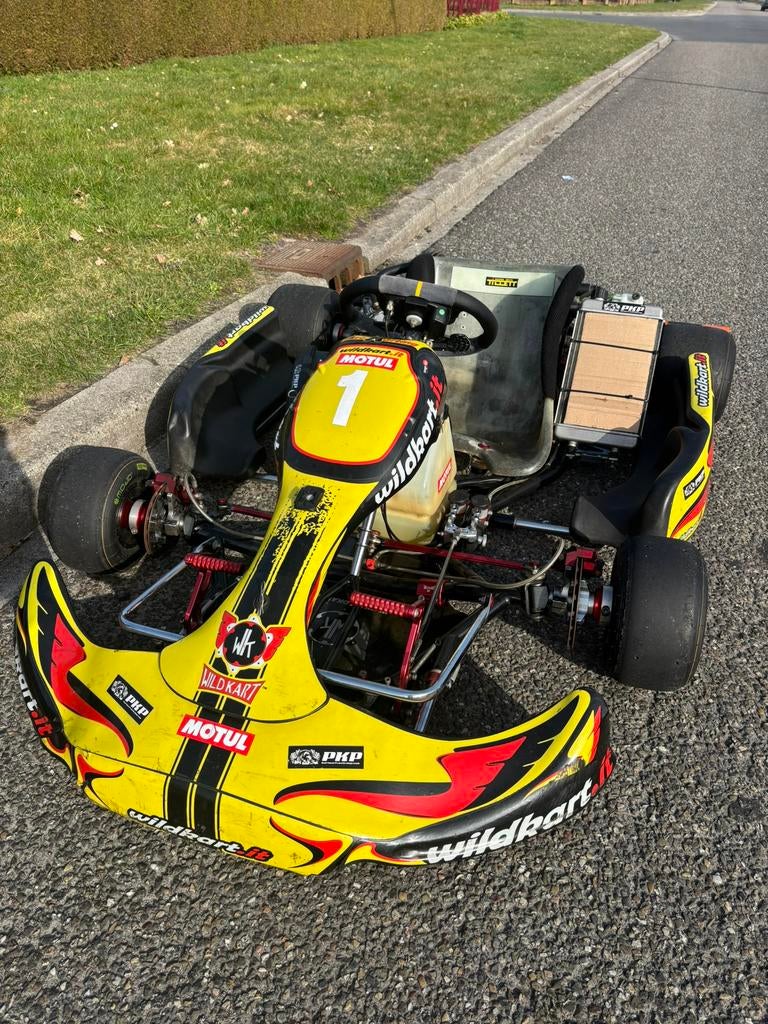 Wildkart DD2 kart, Ophalen, Zo goed als nieuw, Kart