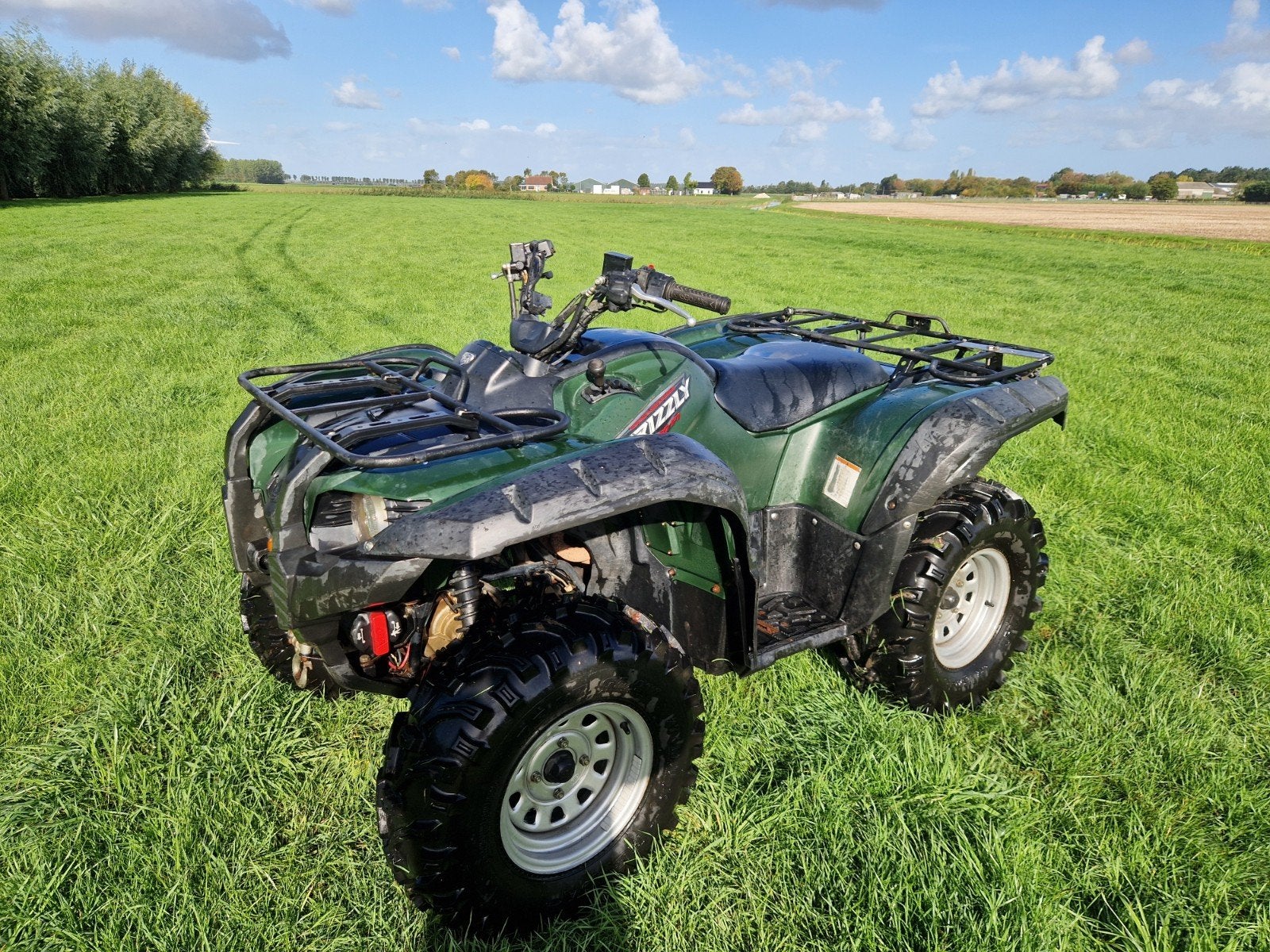 Yamaha Grizzly 700 EPS Quad - Groen, 2010, Motoren, 1 cilinder