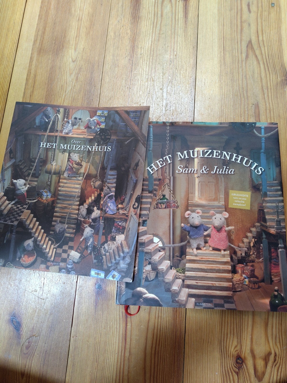 Het Muizenhuis Sam & Julia - Jubileumeditie met bijlage, Ophalen of Verzenden, Zo goed als nieuw, Karina Schaapman, 3 tot 4 jaar