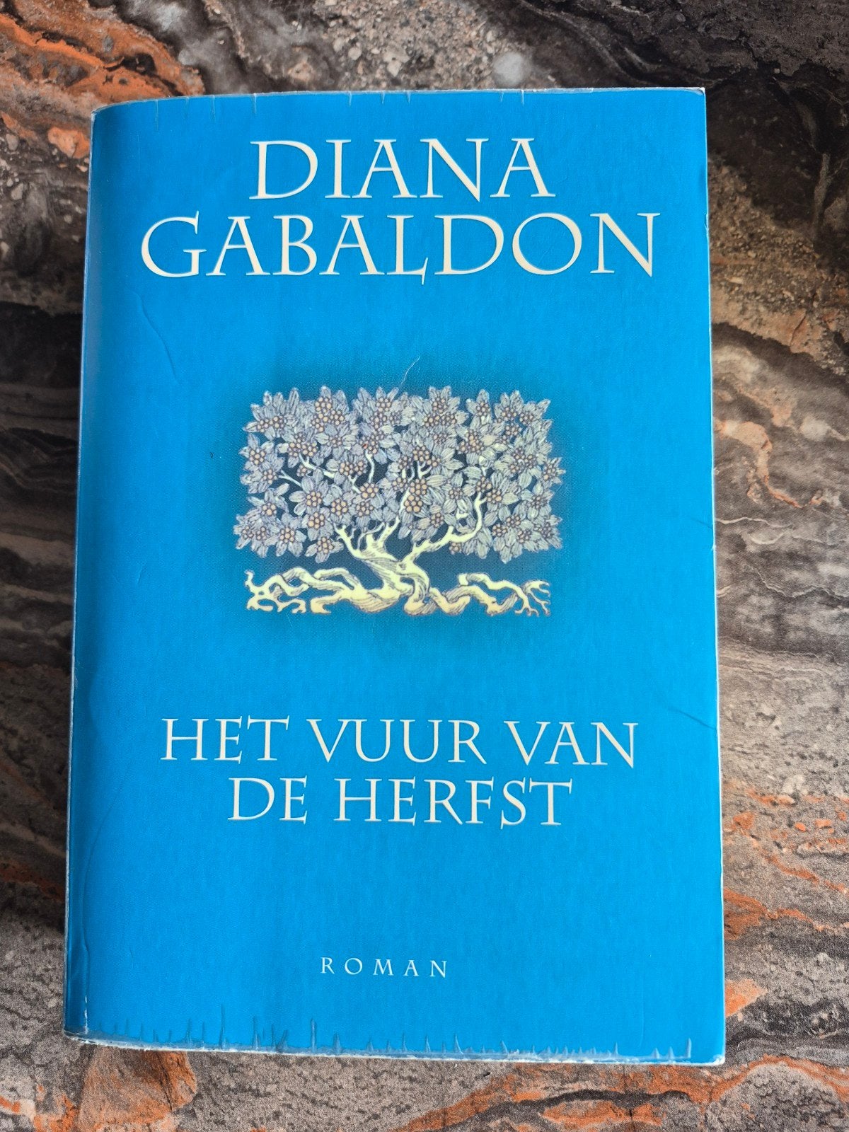 Diana Gabaldon - Het Vuur van de Herfst (Outlander), Boeken, Ophalen of Verzenden, Gelezen, Diana Gabaldon, Nederland