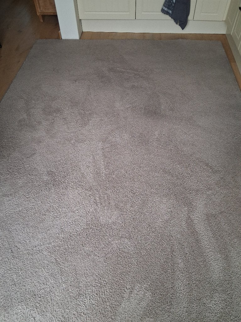 Vloerkleed 200x300, Ophalen, 200 cm of meer, Zo goed als nieuw, 200 cm of meer