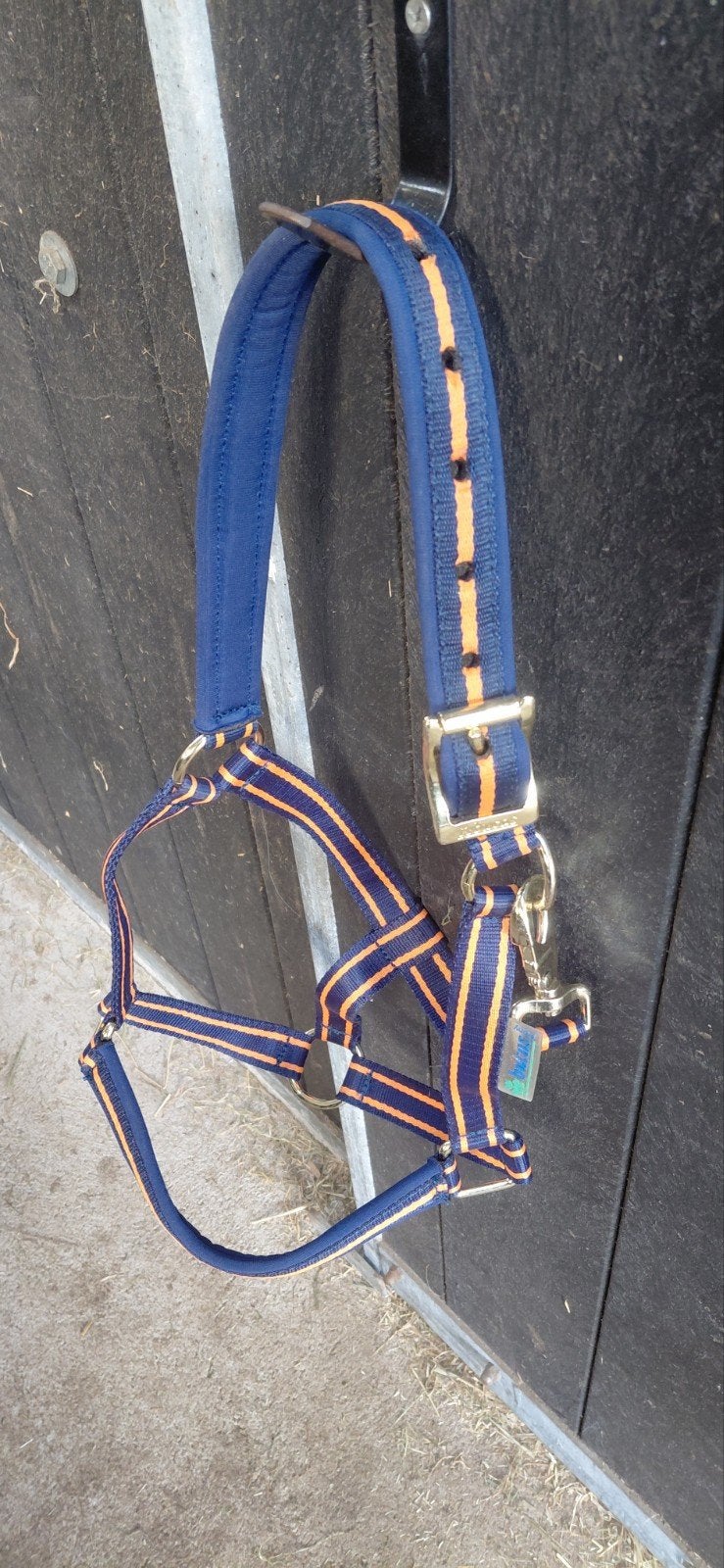 nieuwe bucas halster maat pony, Dieren en Toebehoren, Ophalen of Verzenden, Nieuw
