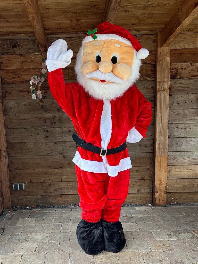Kerst Mascotte Kostuums te huur slechts 25 euro per stuk, Ophalen of Verzenden, Zo goed als nieuw