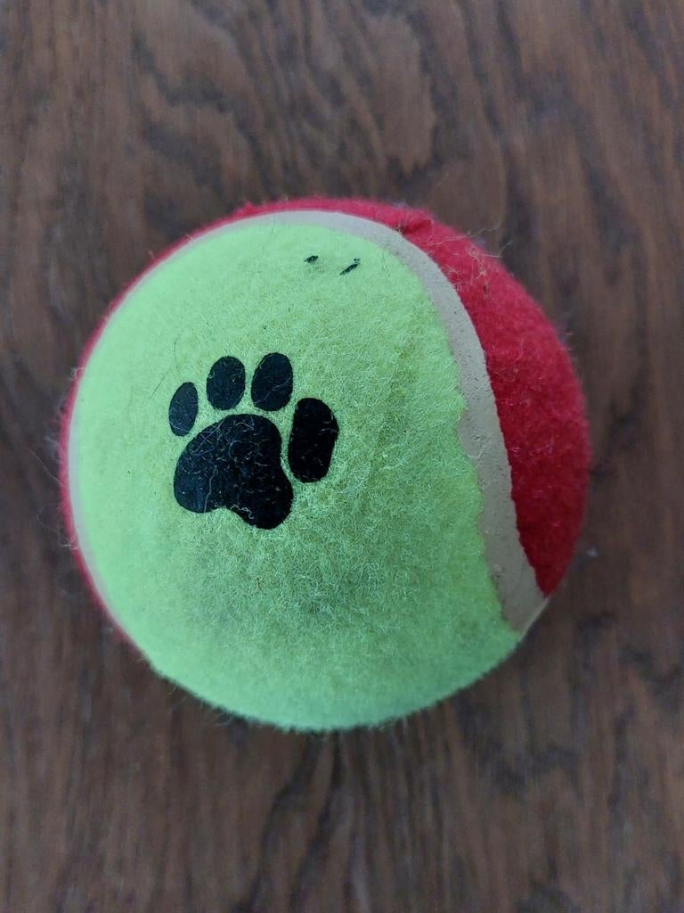 Speelgoedbal voor de hond, bieden, Ophalen of Verzenden