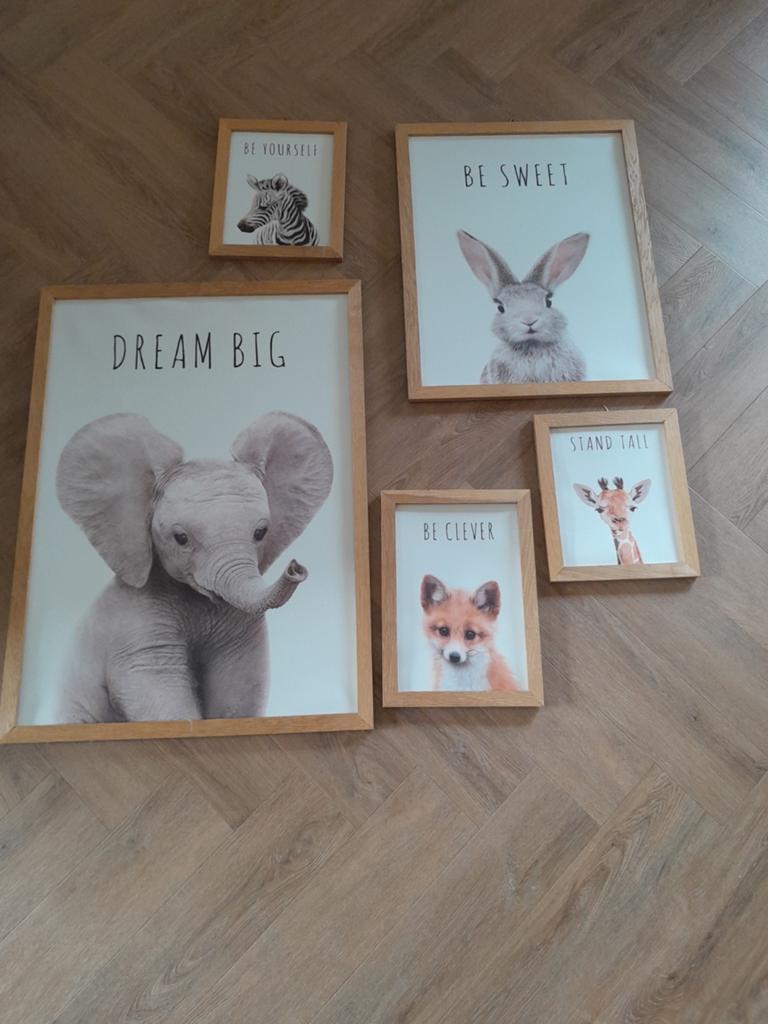 Dieren posters baby/kinder kamer, Overige materialen, Minder dan 50 cm, Ophalen of Verzenden, Zo goed als nieuw