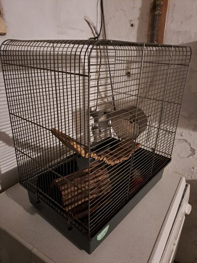 Hamster kooi, Ophalen of Verzenden, Zo goed als nieuw, Kooi, Hamster
