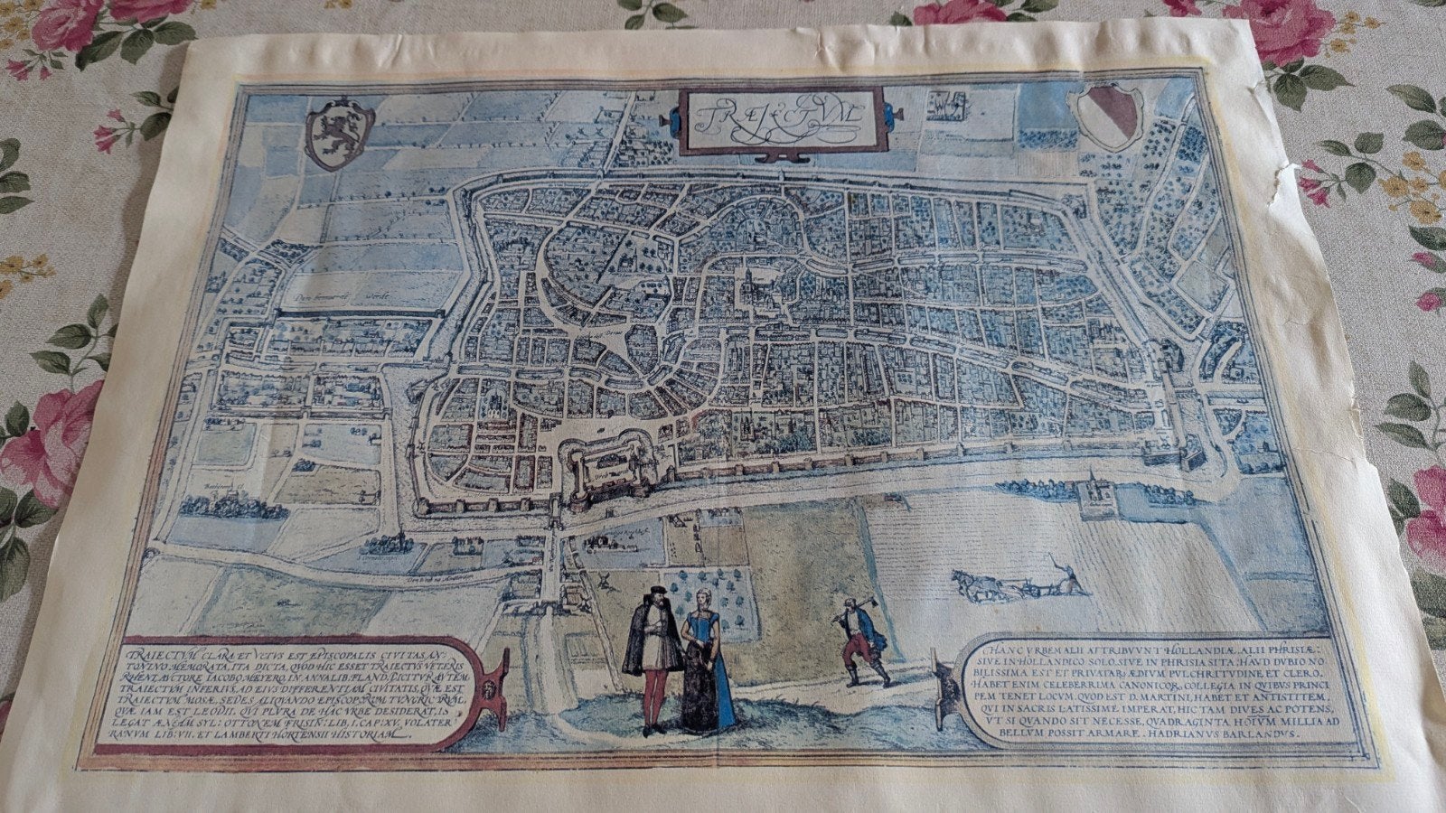 historische plattegrond stad Utrecht, Boeken, Gelezen, Ophalen of Verzenden, Landkaart, 1800 tot 2000