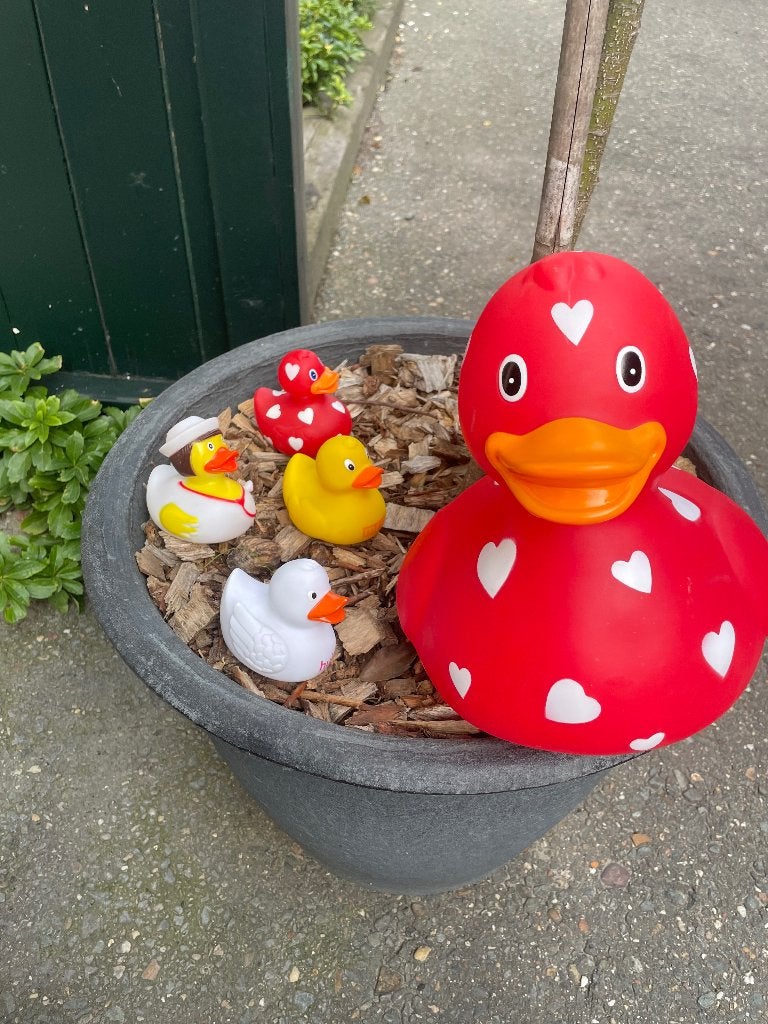 1x XL badeend en 4 kleintjes, Ophalen, Zo goed als nieuw