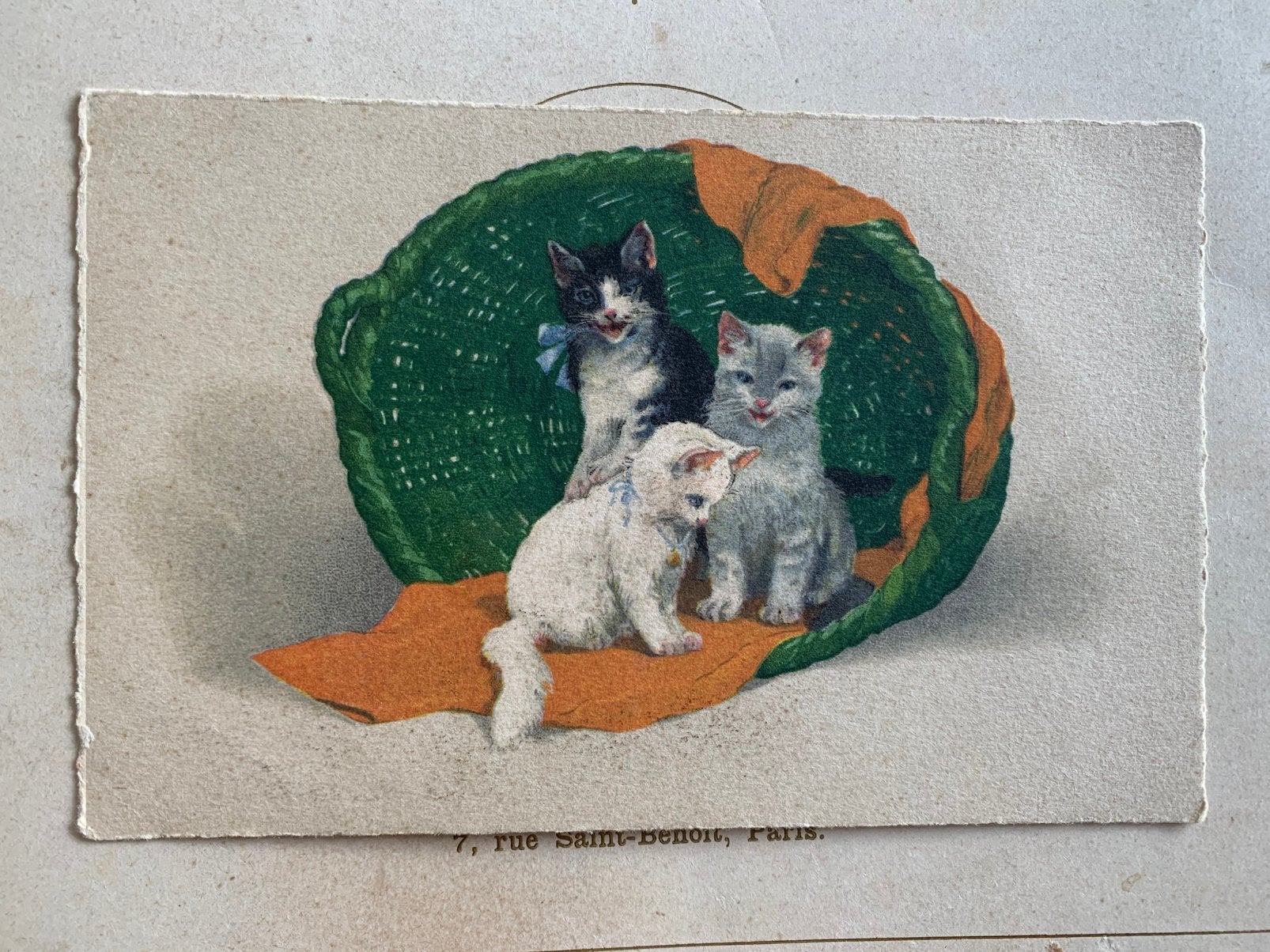 Poezen in de wasmand, Ophalen of Verzenden, Ongelopen, Hond of Kat