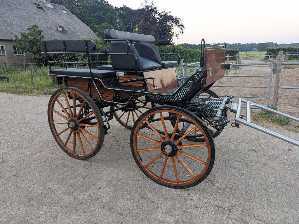 Mooie, goed onderhouden Wagonette / recreatiewagen, Zo goed als nieuw, Wagonette, Paard