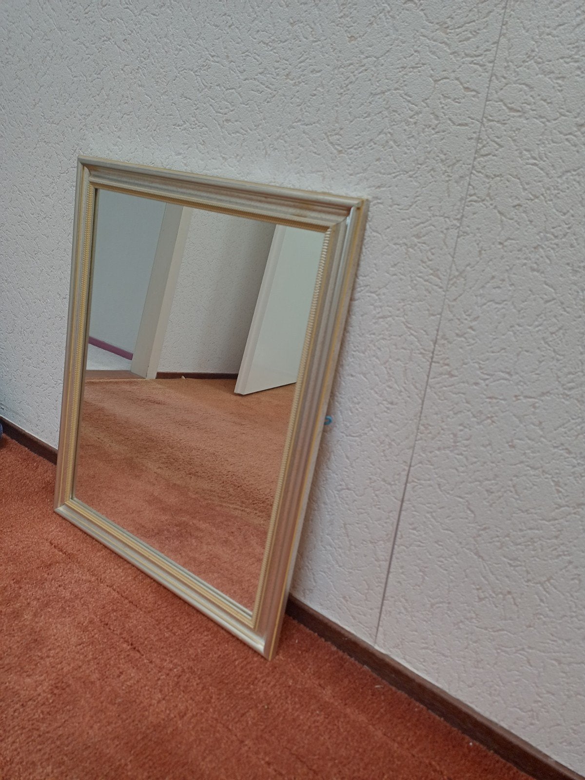 Xenos spiegel, Ophalen of Verzenden, Rechthoekig, Minder dan 50 cm, Minder dan 100 cm