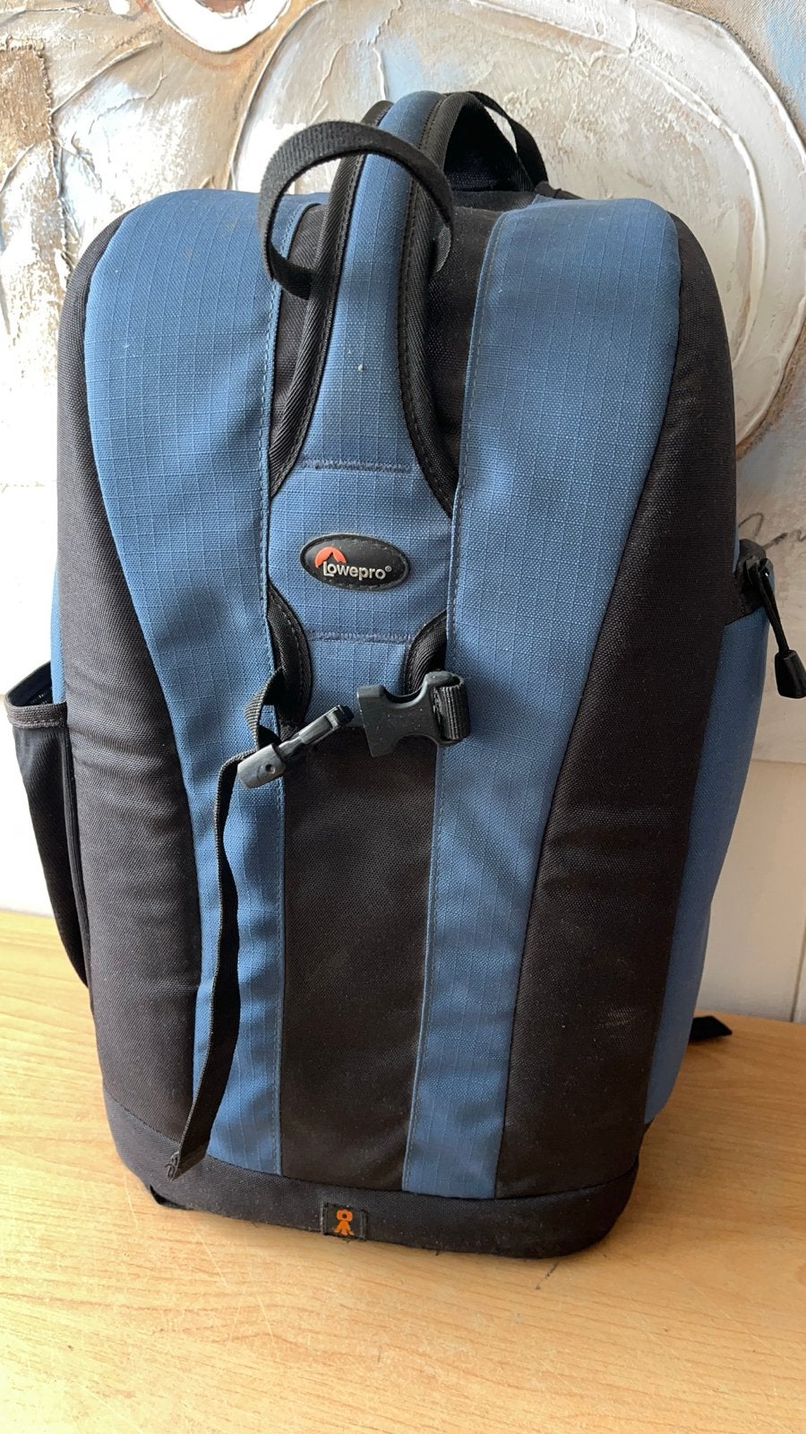 Lowepro Flipside 300 Cameratas - Blauw/Zwart Rugtas, Gevoerd, Ophalen of Verzenden, Lowepro, Gebruikt
