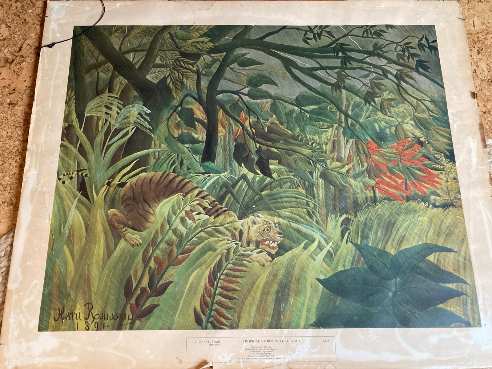 Vintage Schoolplaat: Tropical Storm met Tijger (Henri Rousse, Ophalen of Verzenden, Natuur en Biologie