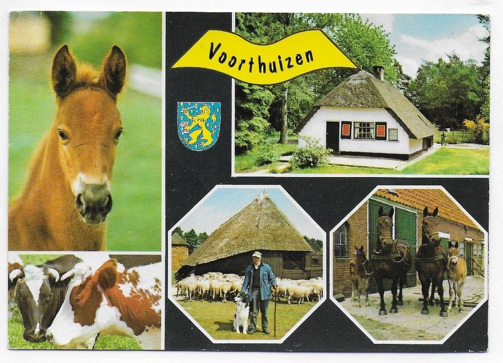 Voorthuizen gelopen Ansichtkaart (B2810 ), Ophalen of Verzenden, 1980 tot heden, Gelopen