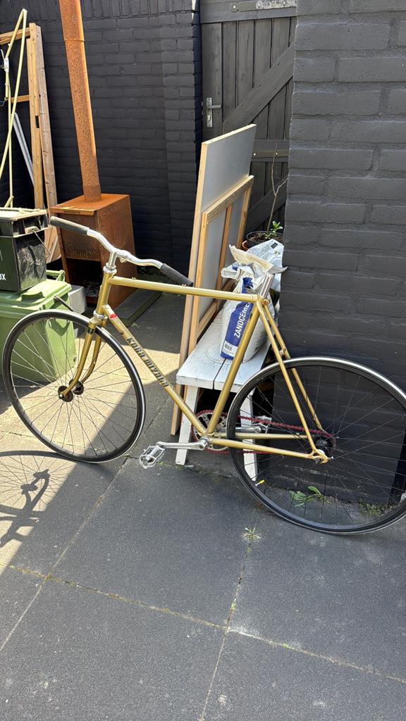 Opknap fiets fixie koga miyata custom, Ophalen