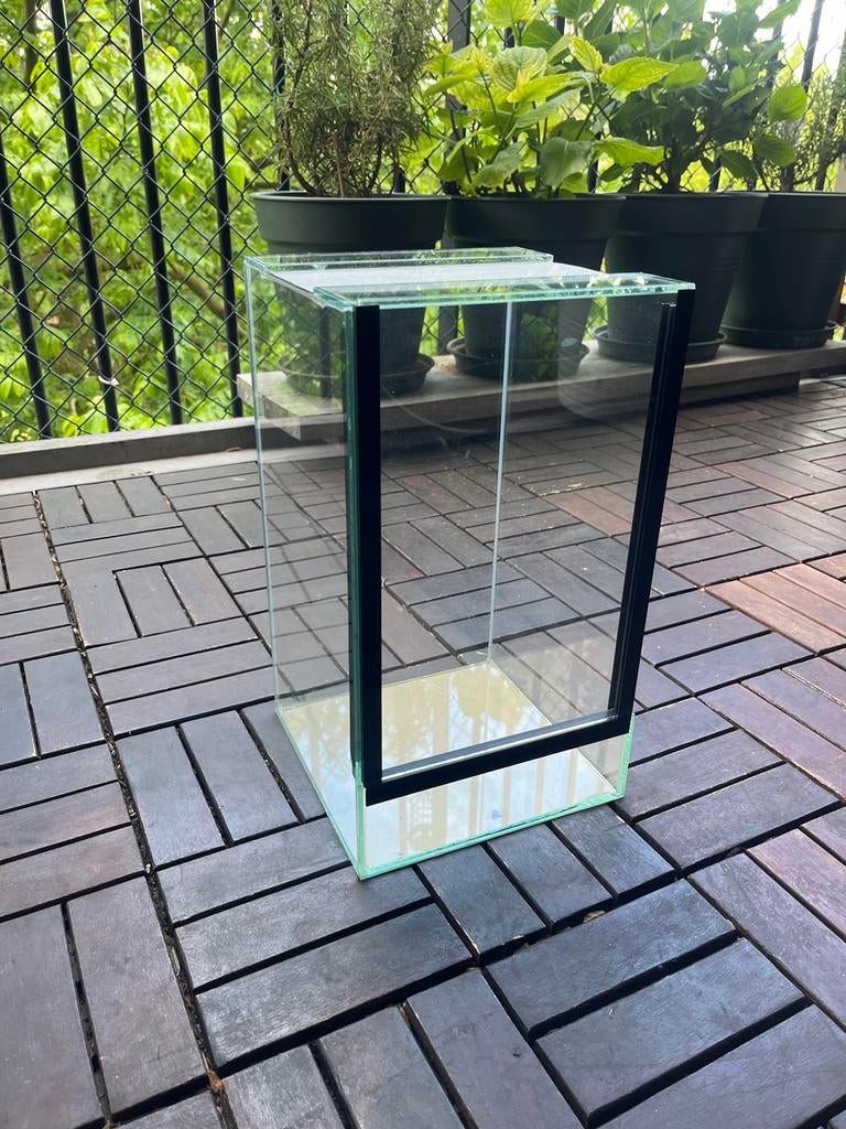 Klein terrarium (20x20x35) voor wandelende tak / insecten, Ophalen, Zo goed als nieuw