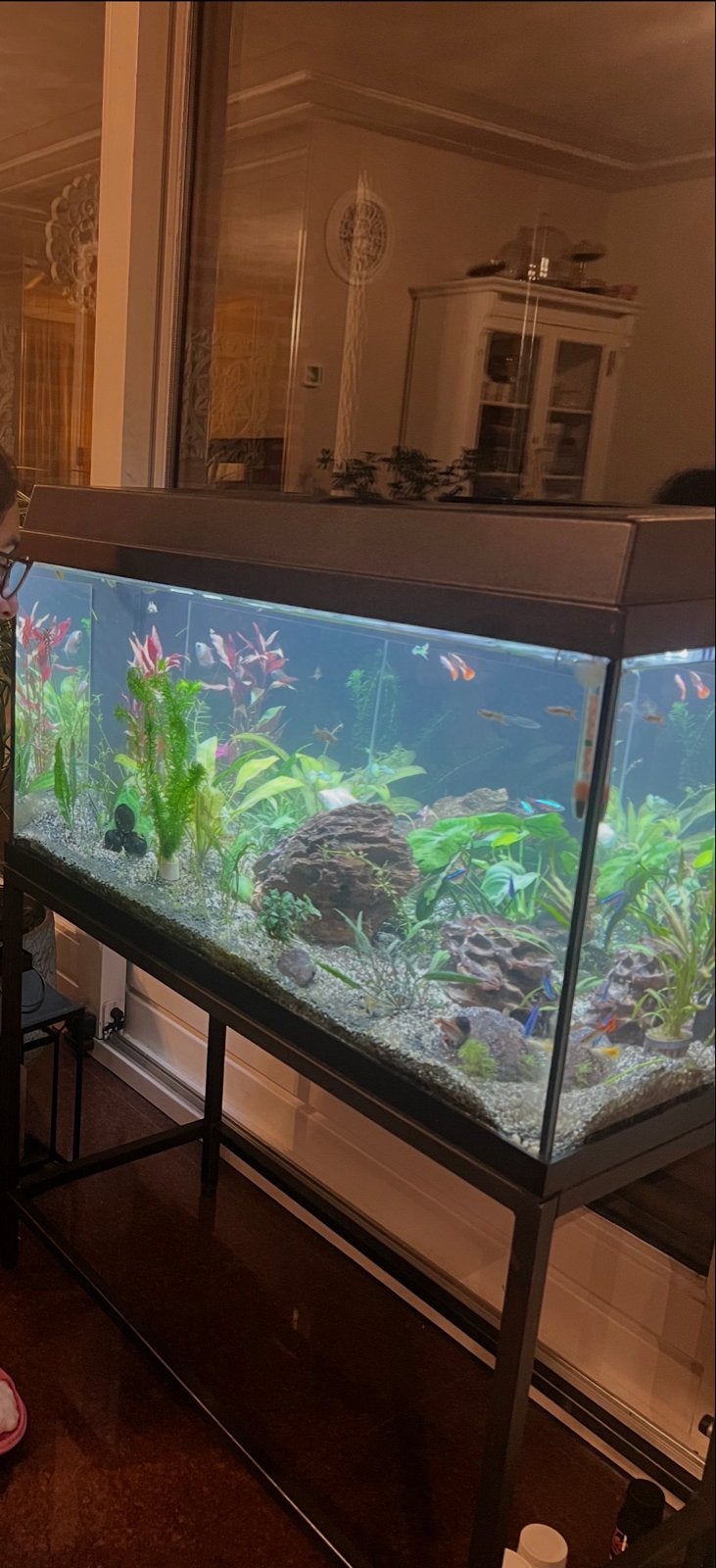 Mooie juwles aquarium met leuke frame, Dieren en Toebehoren, Ophalen, Zo goed als nieuw, Leeg aquarium
