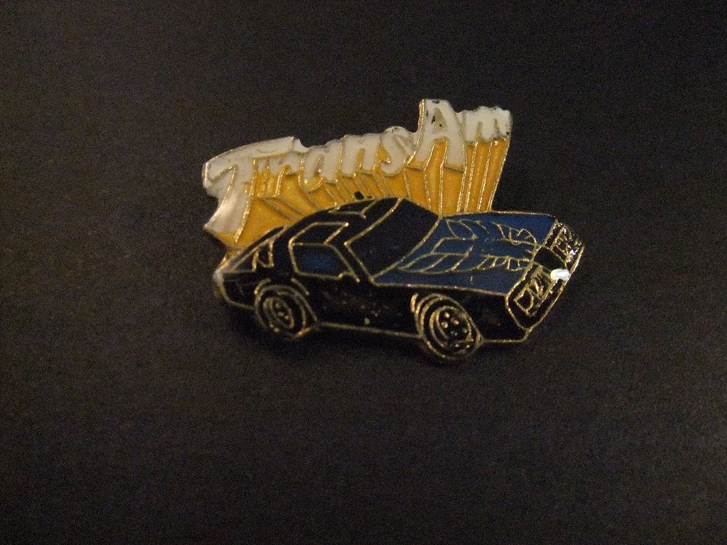 Pontiac Firebird Trans Am tweede generatie pin, Ophalen of Verzenden, Gebruikt, Overige onderwerpen