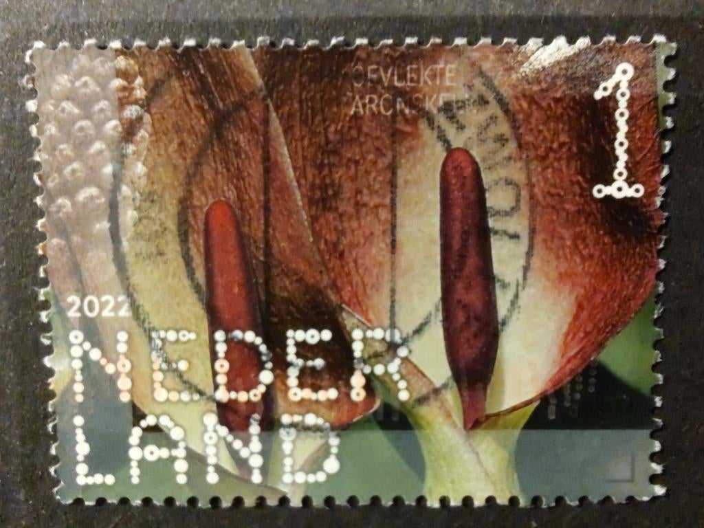4037 gevlekte aronskelk 2022 Beleef de natuur, Ophalen of Verzenden