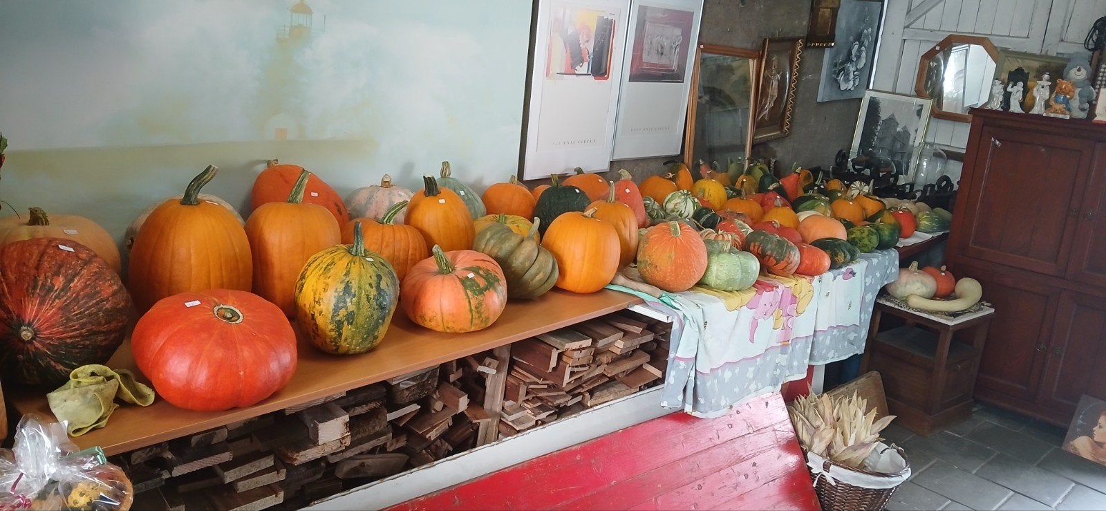 Decoratieve pompoenen en kalebassen - Diverse soorten, Ophalen