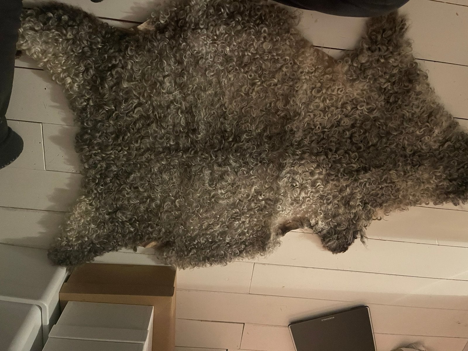 Gotland schapenvacht, Ophalen of Verzenden, Rechthoekig, 50 tot 100 cm