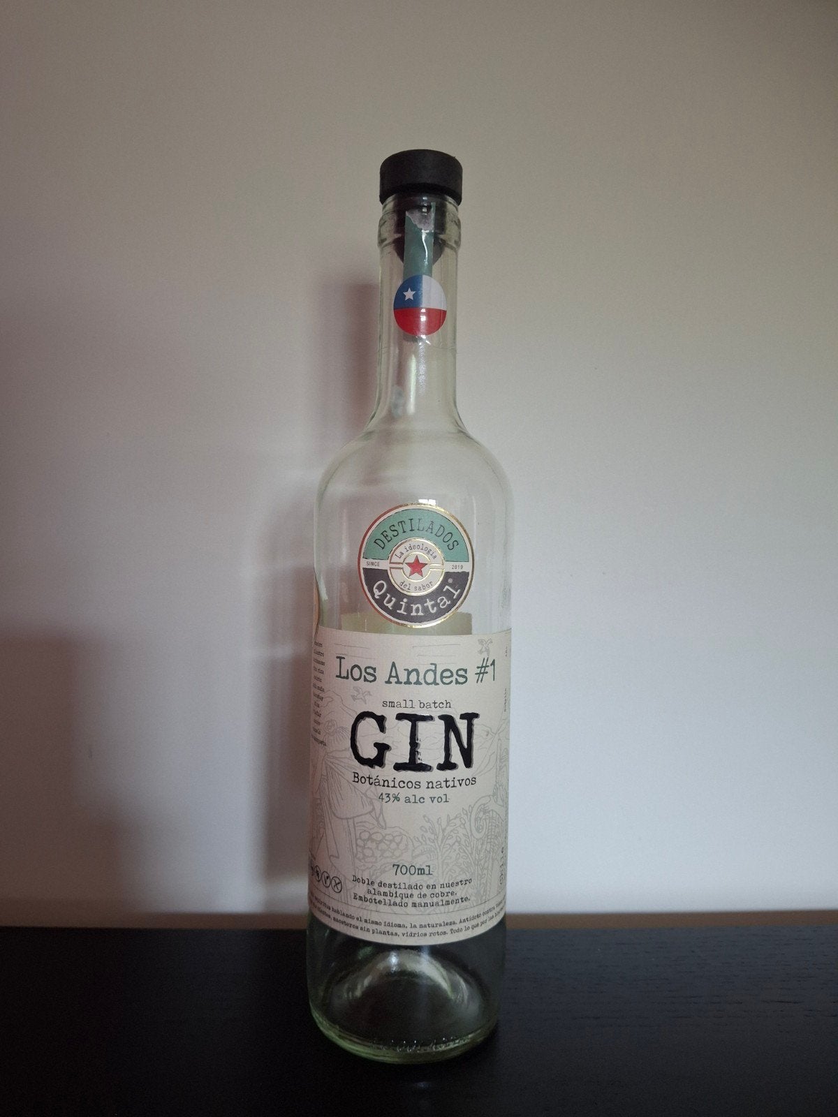 Chileense Gin, Lege fles, Ophalen of Verzenden, Overige typen