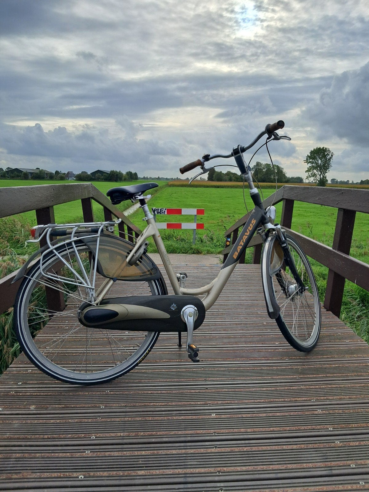 Batavus Cantate damesfiets framemaat 53 cm, Ophalen, Versnellingen, Batavus, Trommelrem