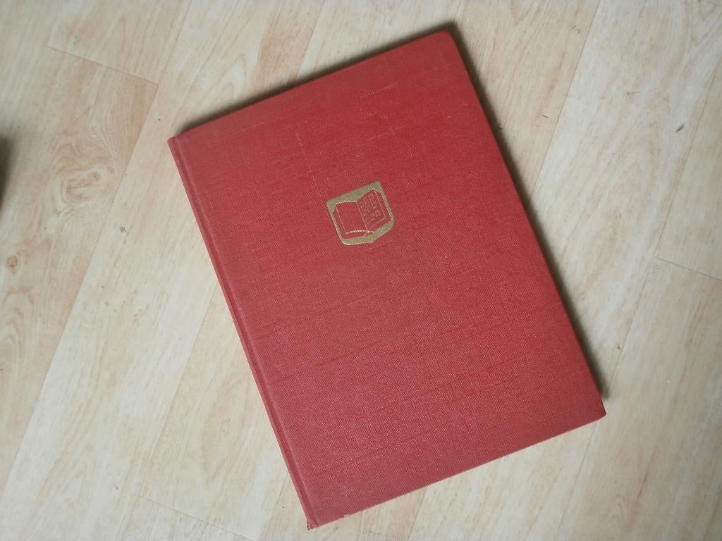 STOKBOEK ISRAEL EN NEDERLAND, Postzegels en Munten, Postzegels | Volle albums en Verzamelingen, Ophalen of Verzenden, Buitenland