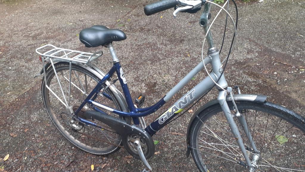 Giant freerider dames fiets, Fietsen en Brommers, Ophalen of Verzenden, Giant