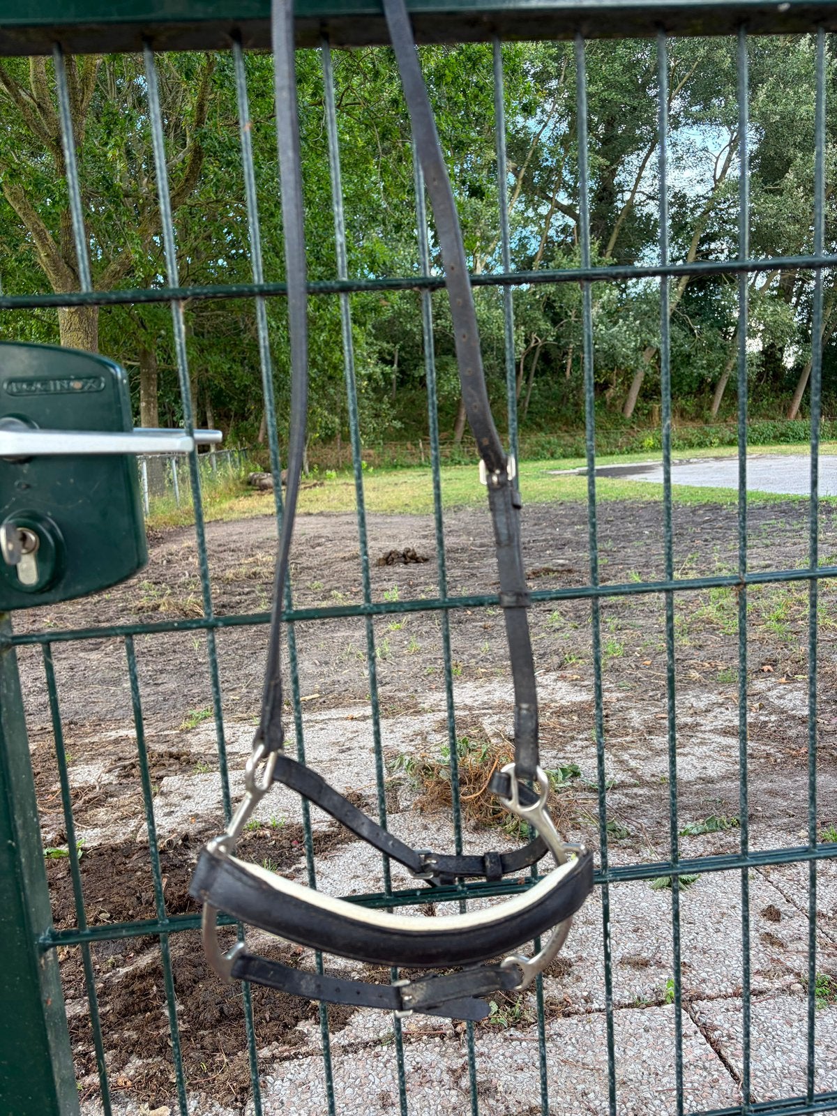 lever noseband, Hoofdstel, Verzenden, Full, Dressuur
