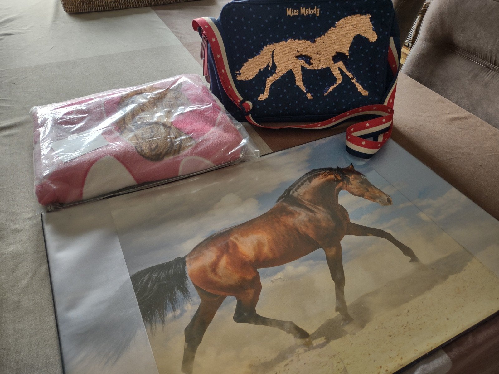 paardenspulletjes, Ophalen of Verzenden