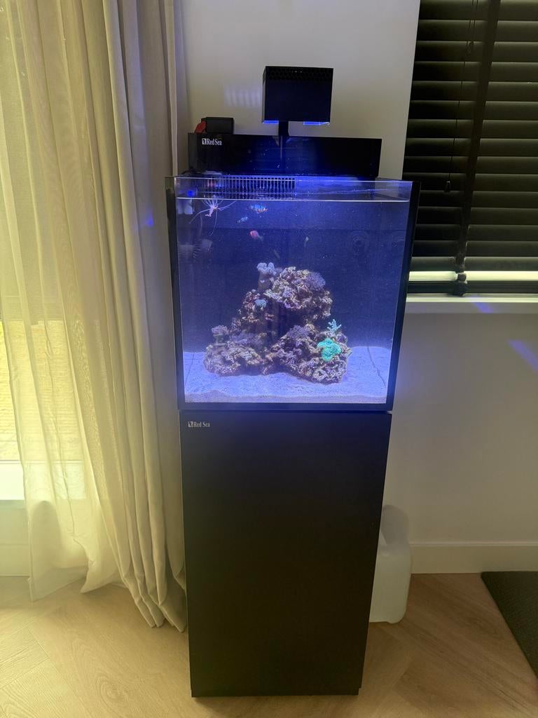 Red Sea Max Nano G2 Cube 75L compleet met extra’s, Ophalen, Red Sea, Inclusief deksel, Zo goed als nieuw