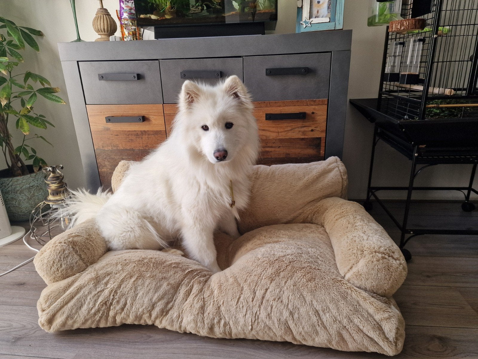 Hondenmand adori beige, Ophalen, Nieuw, Pluche
