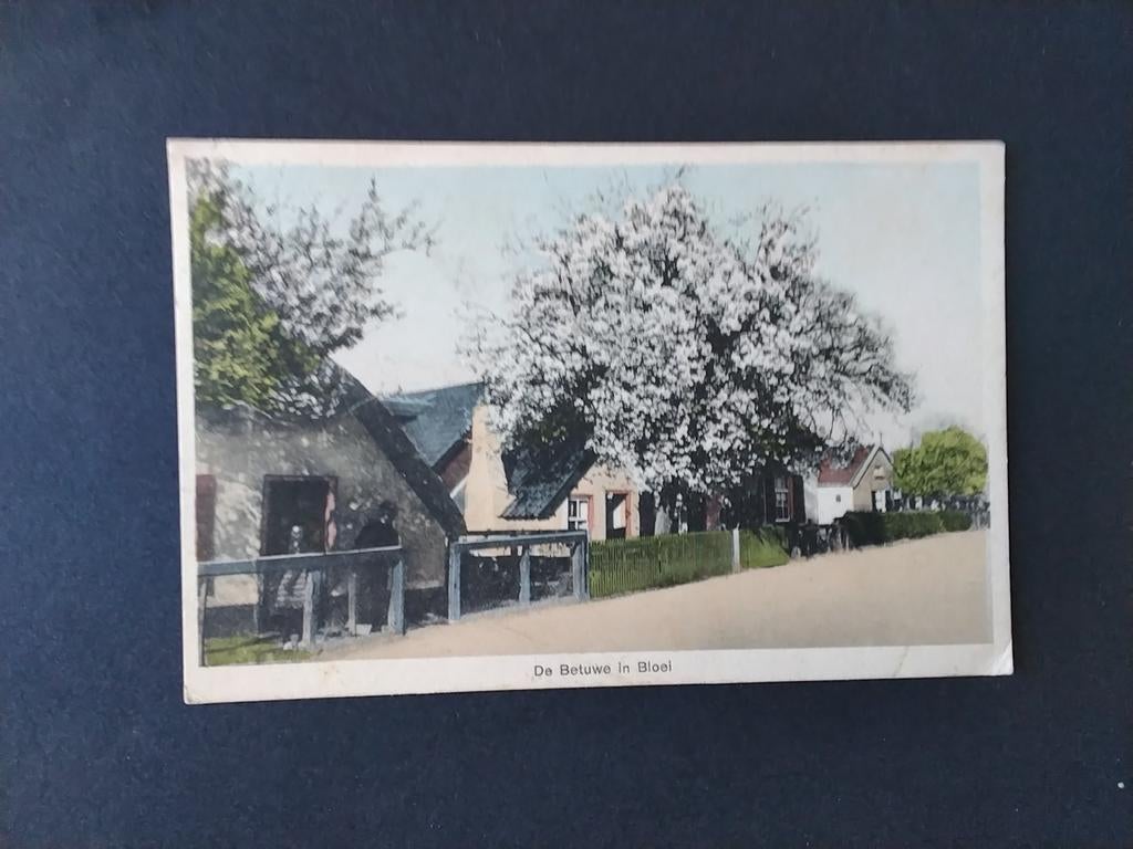 Tiel Betuwe in Bloei, Verzamelen, Ansichtkaarten | Nederland, Ophalen of Verzenden, Voor 1920