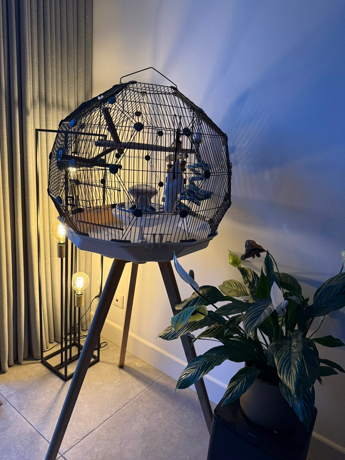 Omlet Geo Vogelkooi met Standaard en accessoires, Dieren en Toebehoren, Vogels | Hokken en Kooien, Ophalen, Zo goed als nieuw